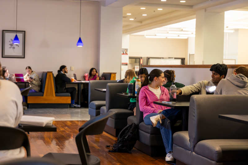 Students studying at the Miller Learning Center